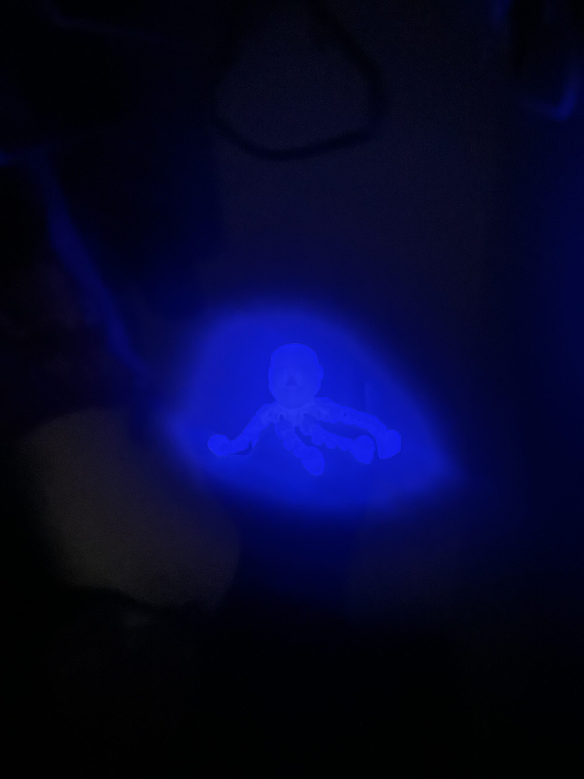 Lebron Jamestopus - Image 2